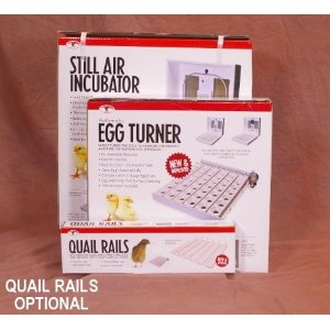 Little Giant incubator - Bird Supplies : Incubators